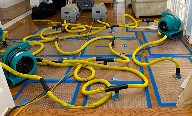 Professional Storm Water Damage Restoration technician working in Monrovia, MD